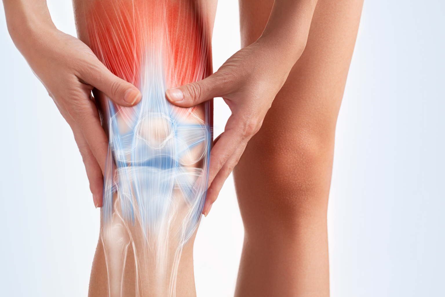 Knee replacement surgery in Bangalore